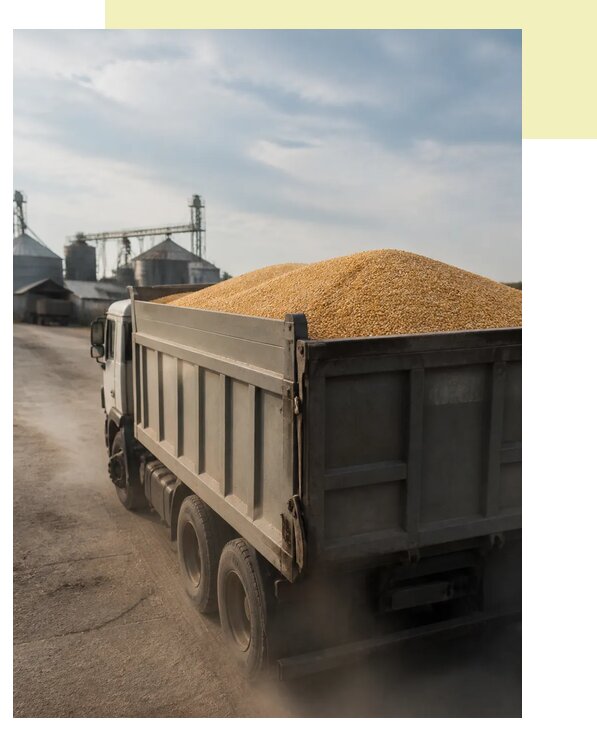 Перевозка сельхозпродукции навалом в Осинники по цене от 3075 р. | Агросервис-Снн